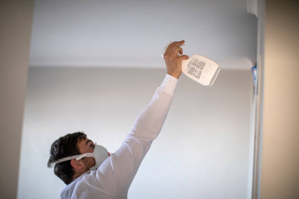 Best Attic Mold Removal  in New Castle Northwest, PA