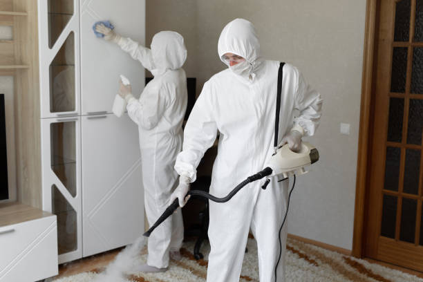Best Certified Mold Removal  in New Castle Northwest, PA
