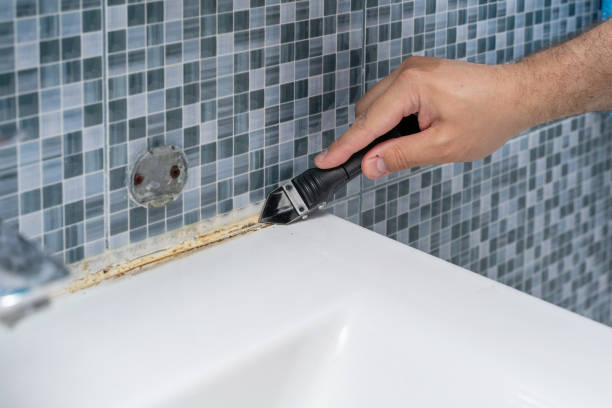 Home Mold Removal in New Castle Northwest, PA